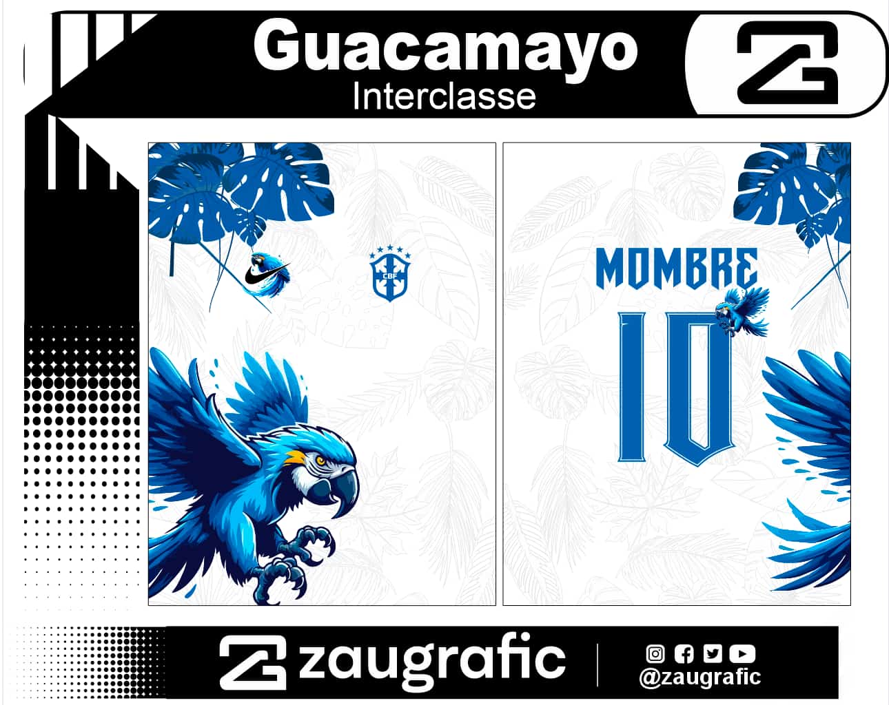 Guacamayo Interclasse
