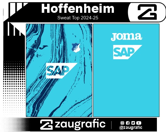 Hoffenheim Sweat Top 2024-25